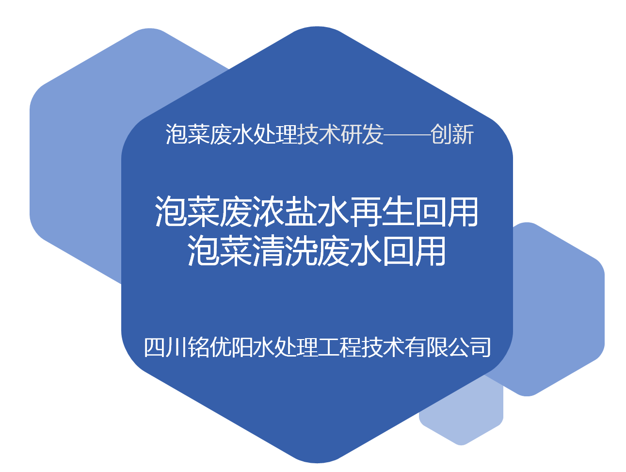 泡菜废水全方位处理工艺研发成果